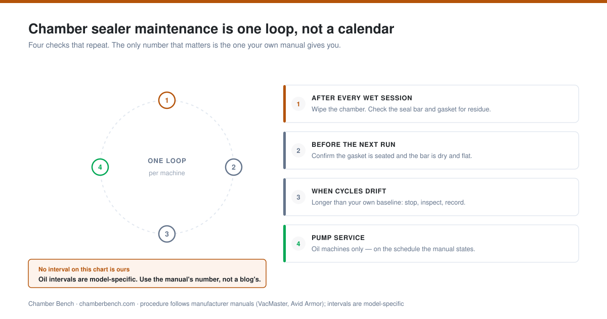 Circular diagram of four repeating chamber sealer maintenance checks: after every wet session, before the next run, when cycles drift, and pump service